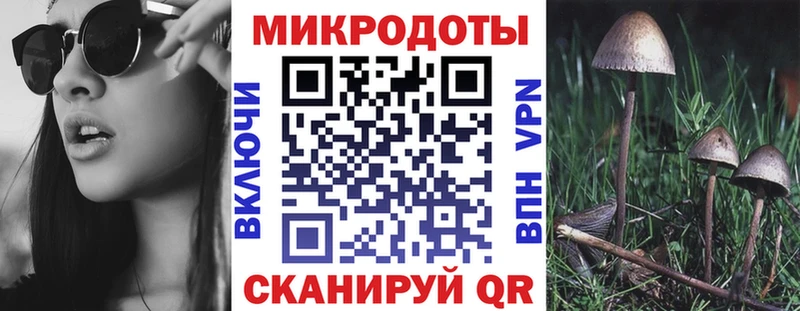 купить наркоту Избербаш мориарти Telegram Псилоцибиновые грибы прущие грибы kraken как войти